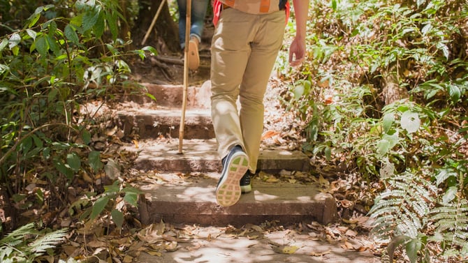 Top 7 Walking Trails Near Seaside Heights